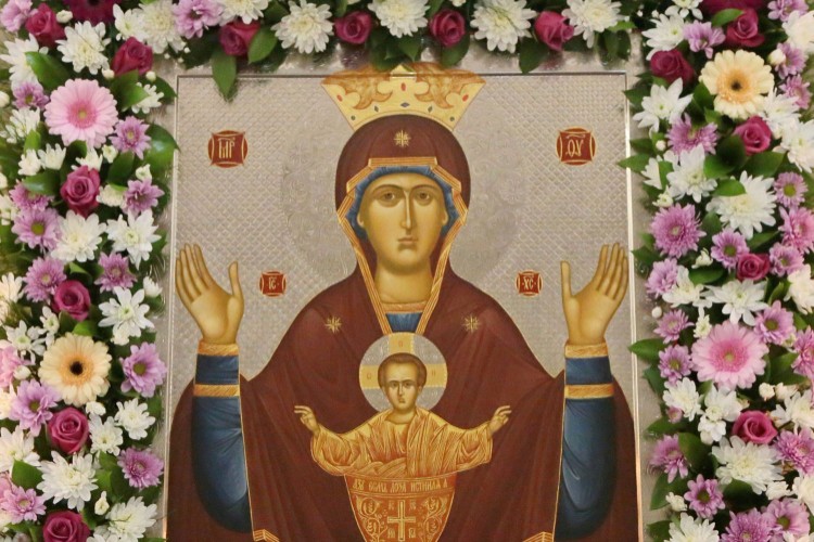винопития